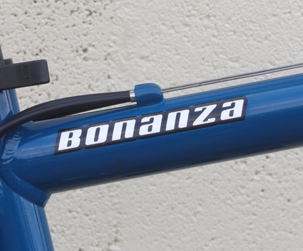 novara bonanza mountain bike
