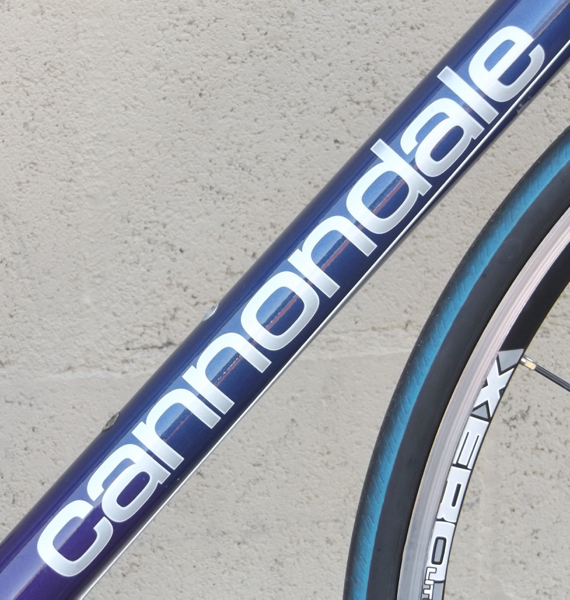 cannondale bike tire