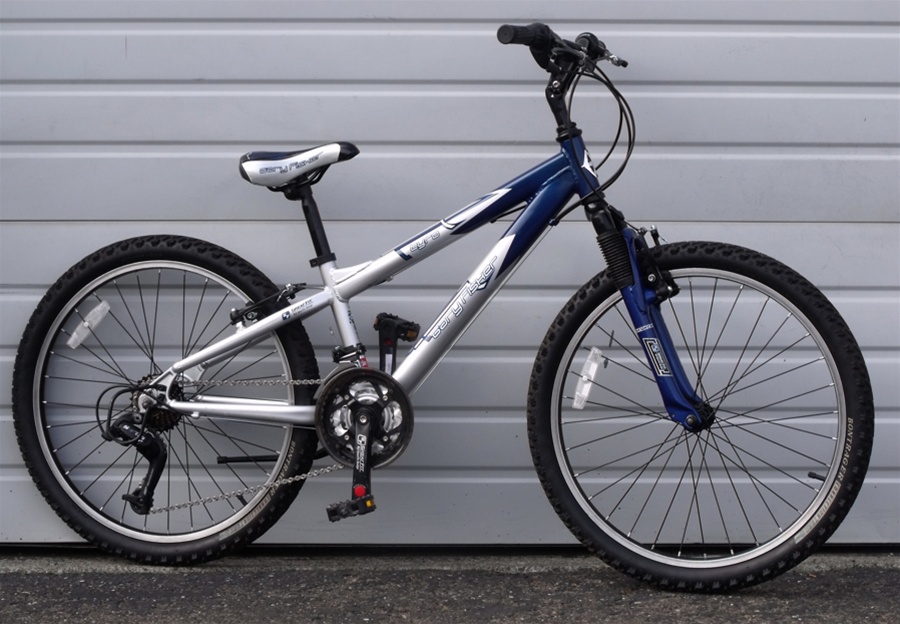 gary fisher aluminum mountain bike