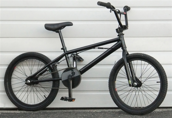 DK StepUP 20" Wheel BMX Bike