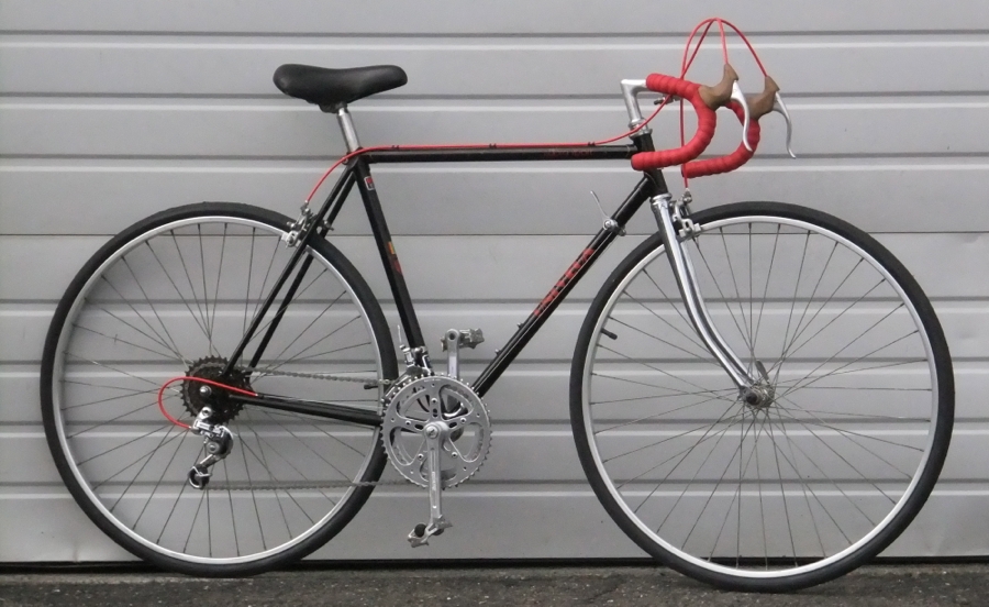 pinarello steel bike