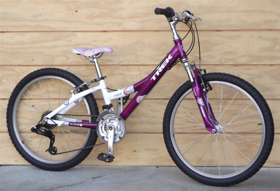 trek mt220 purple