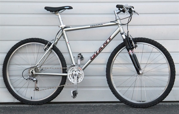 18" Medium Giant Iguana 24 Speed Mountain Bike 5'8"-5'11"