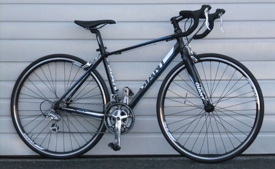 2017 giant defy