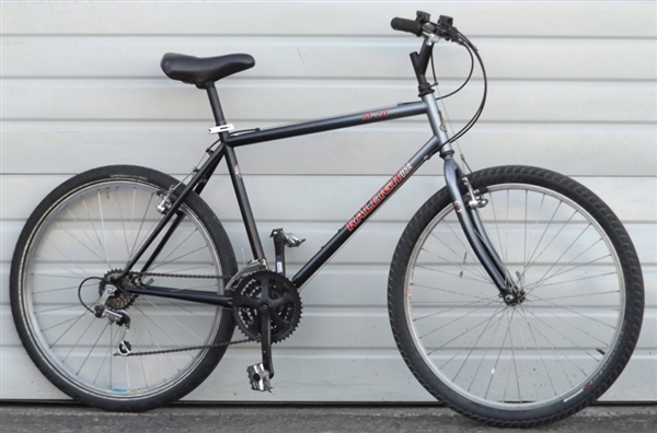18" RALEIGH M20 Utility Mountain Bike ~5'8"-5'11"