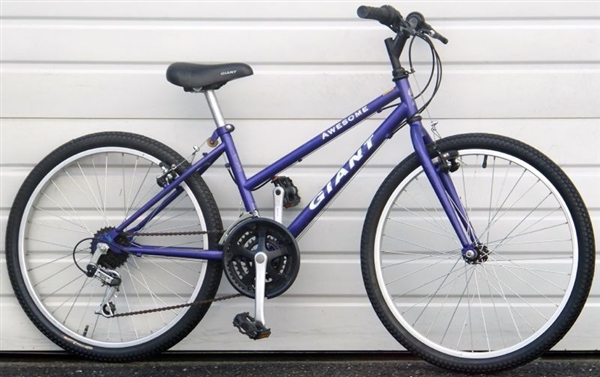 24" Wheel GIANT Awesome Junior Kids All Terrain Bike ~4’4” to 4’9”