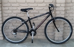 15"  Schwinn Frontier Comfort Utility Bike 4'10"-5'2"