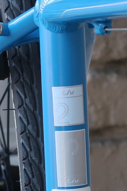 Small Giant Liv Alight 24 Speed Hybrid Gravel Bike 5'3-5'7 Small Giant Liv Alight 24 Speed Hybrid Gravel Bike 5'3-5'7