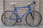 58cm TREK Pilot 5.2 Carbon Ultegra USA Made Road Bike 5'11-6'2