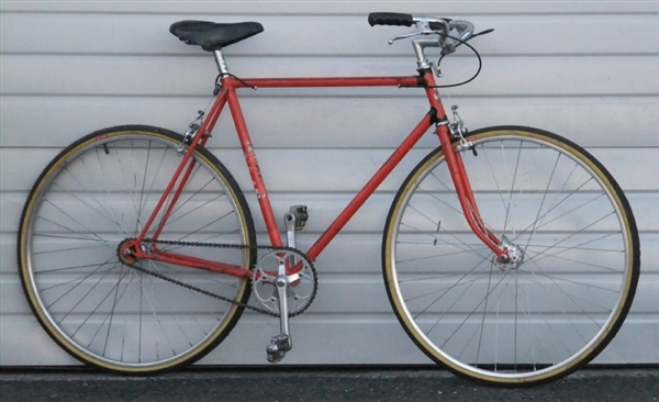 58cm FLANDRIA Single Speed Commuter Bike ~5'9"-6'1"