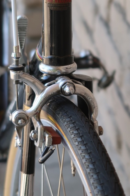 Raleigh Carlton - Arizona's go-to Trek Dealer | Chandler