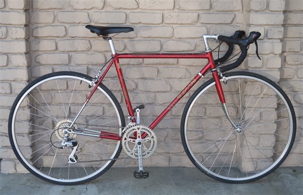 54cm Bianchi Limited 12 speed Road bike 5'7"-5'10"