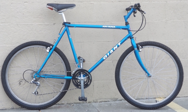 Used giant iguana online bike