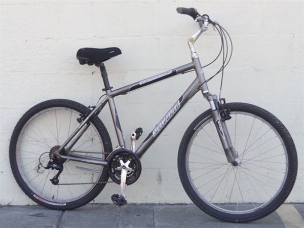 Large Specialized Expedition Aluminum Comfort Commuter