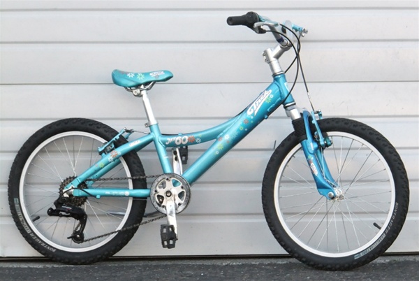 Trek MT60 6 speed 20" Wheel Kids Bike