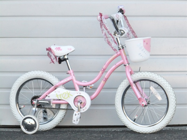 Trek Mystic Single Speed Coaster Brake 16" Wheel with Basket Kids Bike