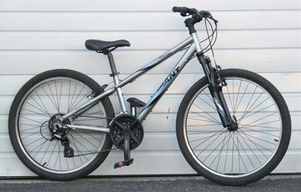 14.5" Giant Boulder 21 Speed Chromoly Utility 5'1"-5'4"