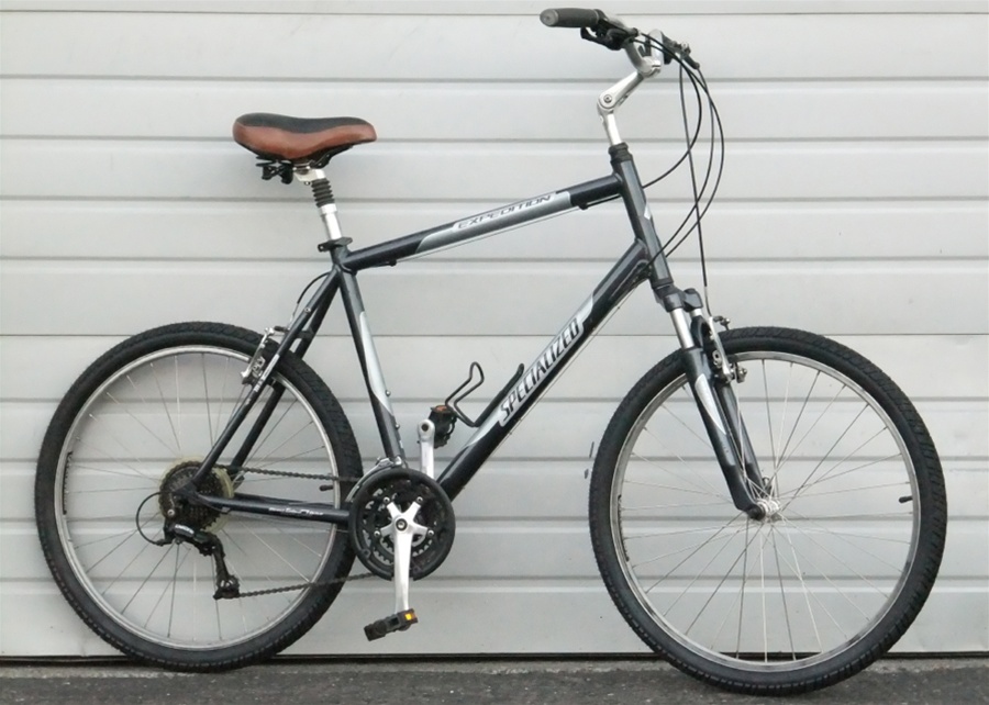 brevet bike