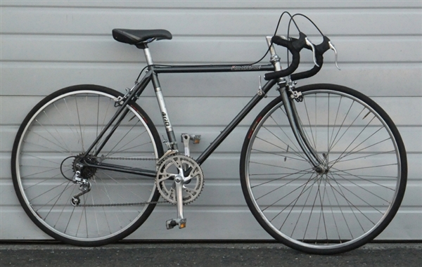 49cm BRIDGESTONE 400 12 Speed Road Bike ~4'9"-5'2"