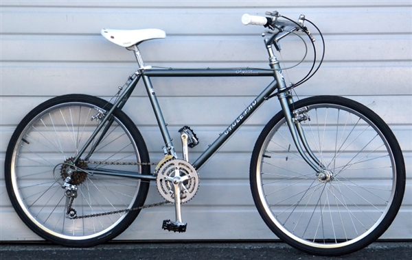 skyline bicycle