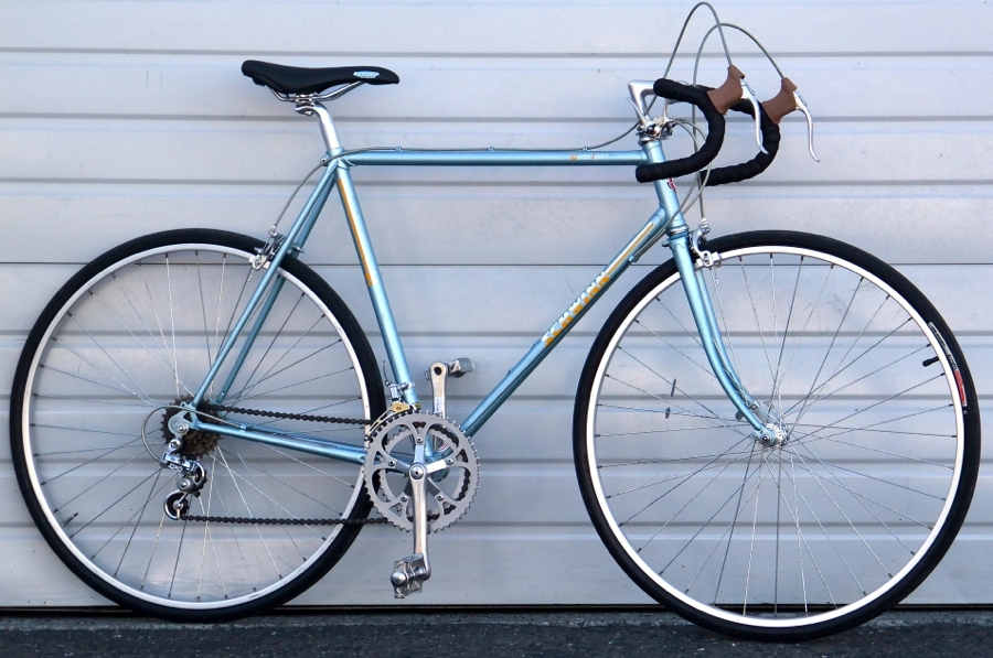 schwinn world sport road bike