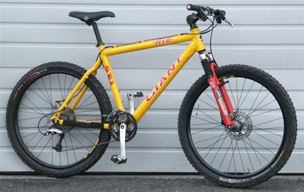 Giant 27 speed store mountain bike