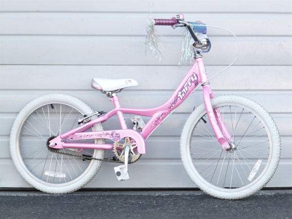 Giant Taffy Single Speed Coaster Brake Transition 20" Wheel Kids Bike