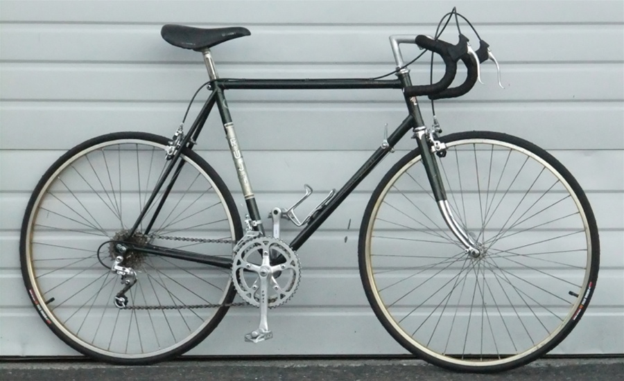 garmin fenix 5 bike