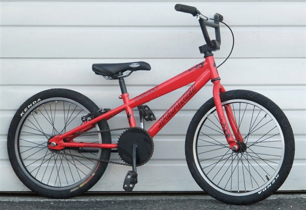 SPECIALIZED Hotrock Single Speed Coaster Brake 20" Wheel Kids Bike