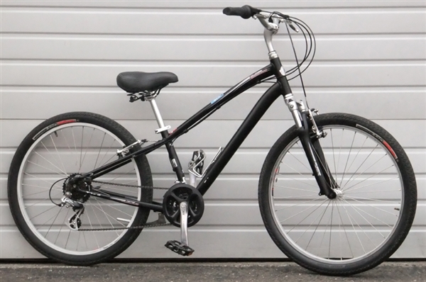 globe commuter bike