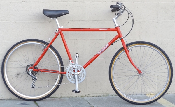 19" RALEIGH Mountain Tour Commuter Town Utility Bike ~5'8" to 5'11"