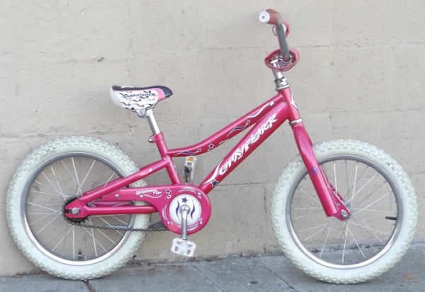 16" Wheel GARY FISHER Gamma Ray Coaster Brake Single Speed Kids Bike ~Ages 3-5