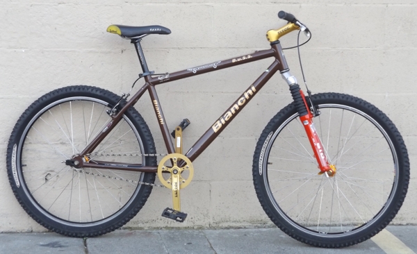 17.5" BIANCHI B.u.S.S. Easton Paul USA Single Speed Mountain Bike ~5'6"-5'9"