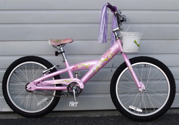 Trek Mystic Single Speed Coaster Brake Transition 20" Wheel Kids Bike