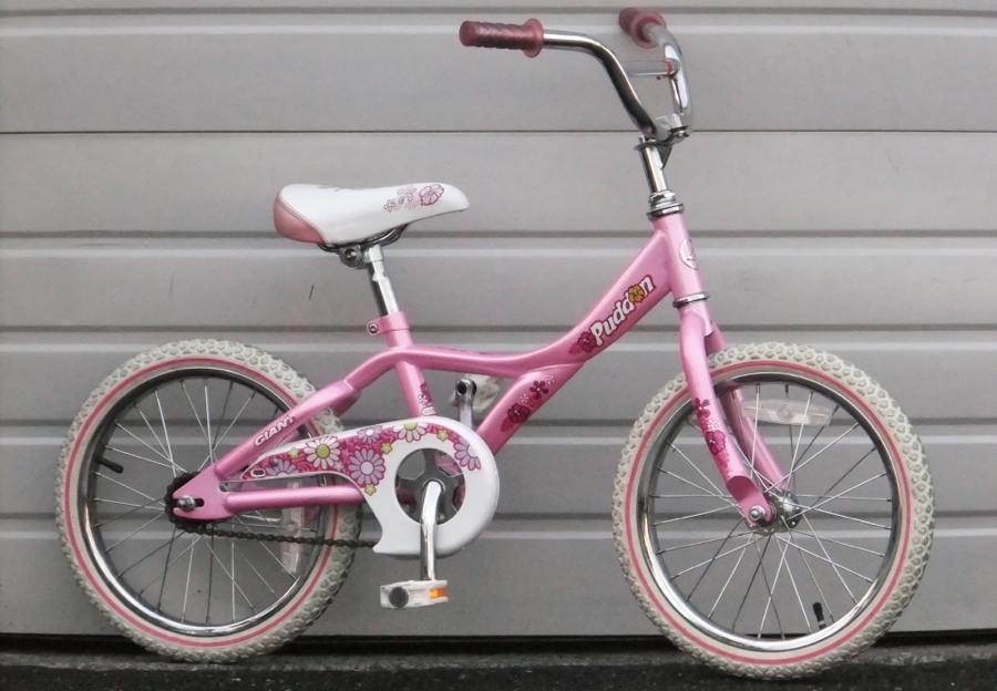 Giant deals kids bicycle